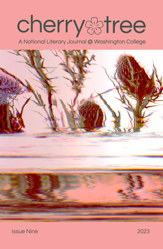 Item View Image