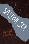 salton-sea-george-mccormick.jpg