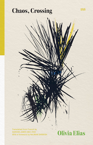 Chaos, Crossing by Olivia Elias book cover image