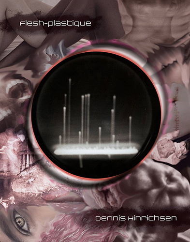 Flesh-plastique poetry by Dennis Hinrichsen book cover image